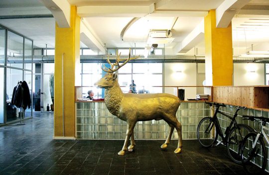 Art Direction bei „Zum goldenen Hirschen“